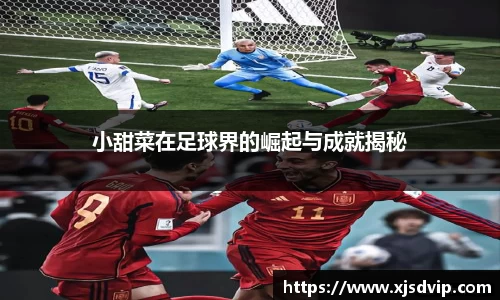 小甜菜在足球界的崛起与成就揭秘
